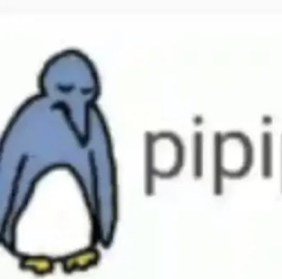 pipipi