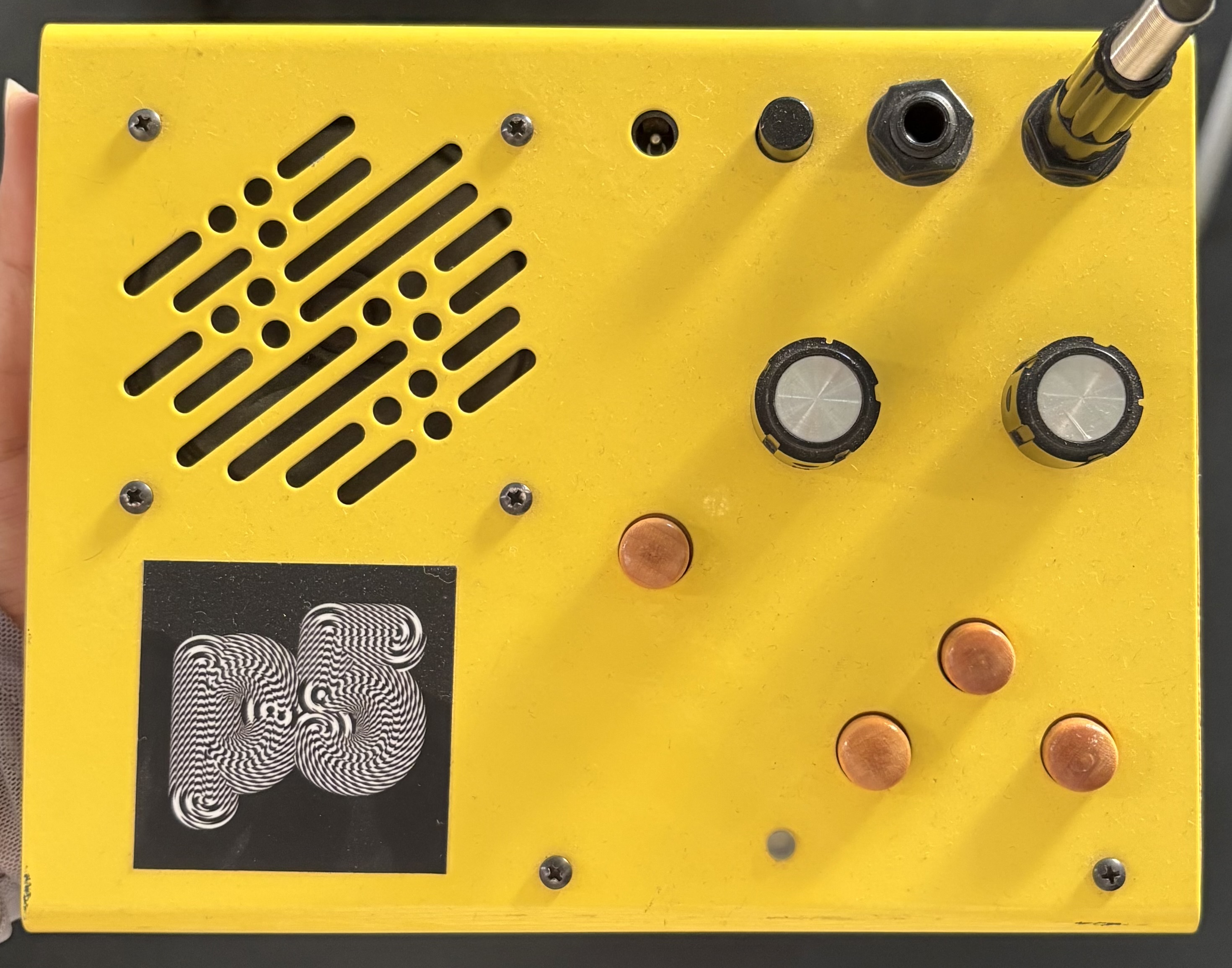 Critter and Guitari Kaleidoloop